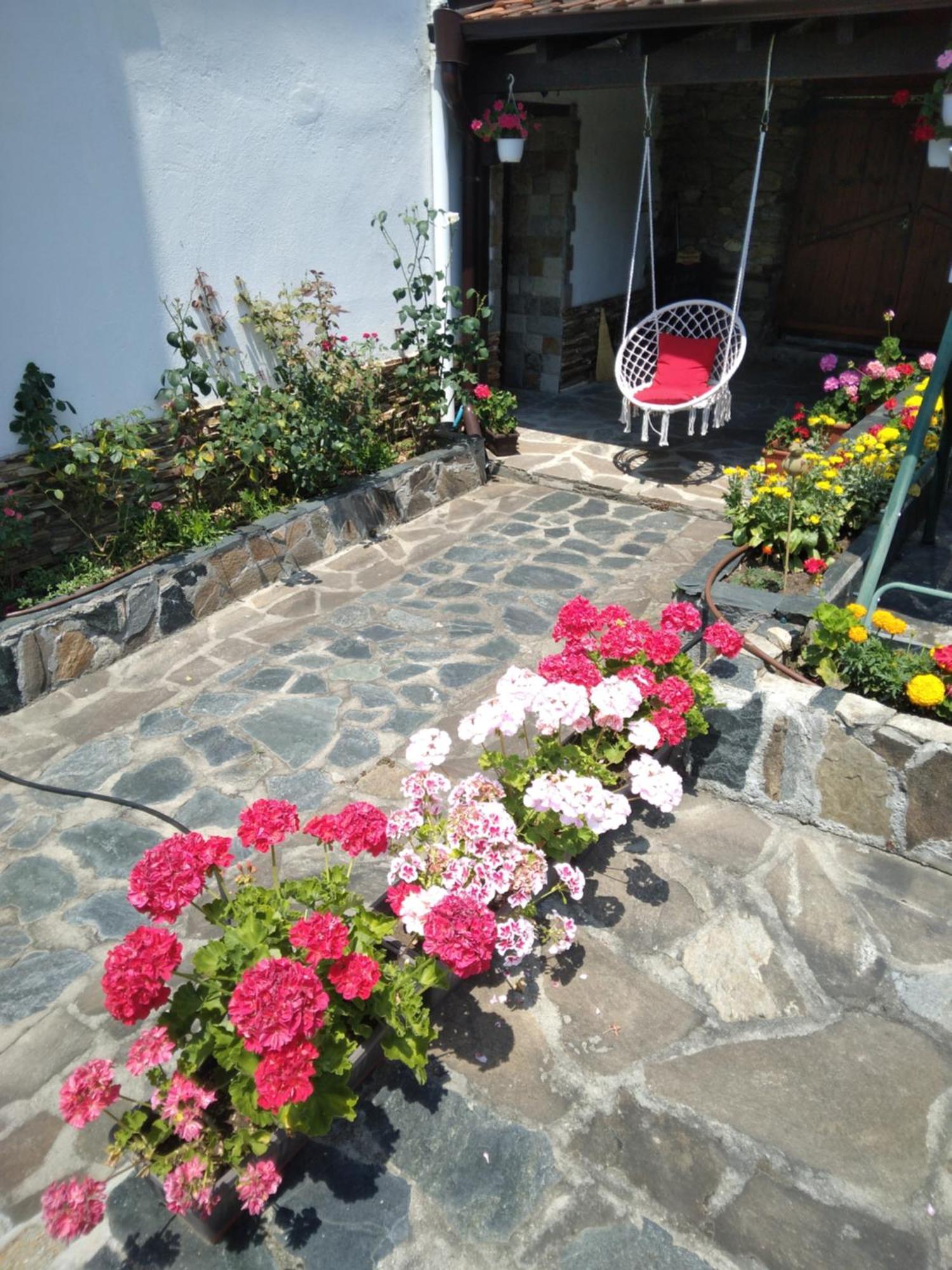 Guest House Popov Marchevo Dış mekan fotoğraf
