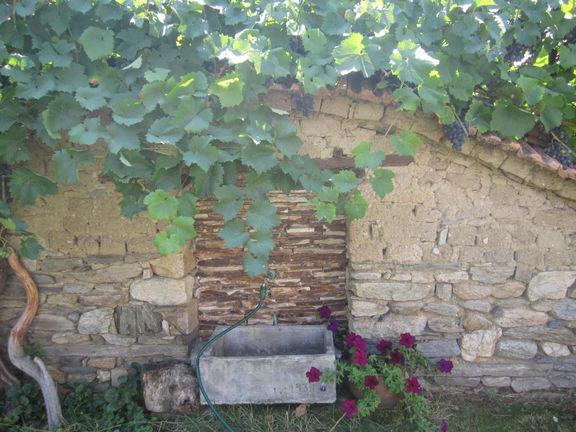 Guest House Popov Marchevo Dış mekan fotoğraf